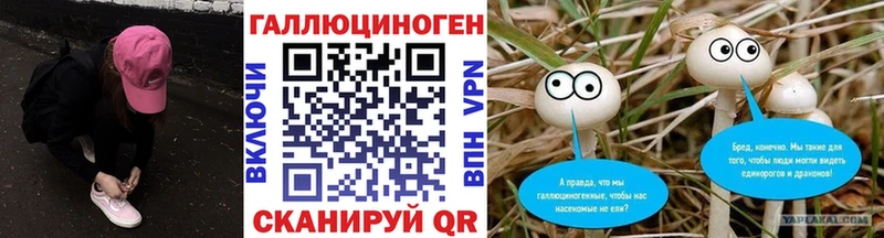 Галлюциногенные грибы Cubensis  Староминская 
